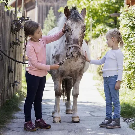 Holzlebn 3* Grossarl