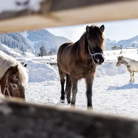 Holiday park Holzlebn