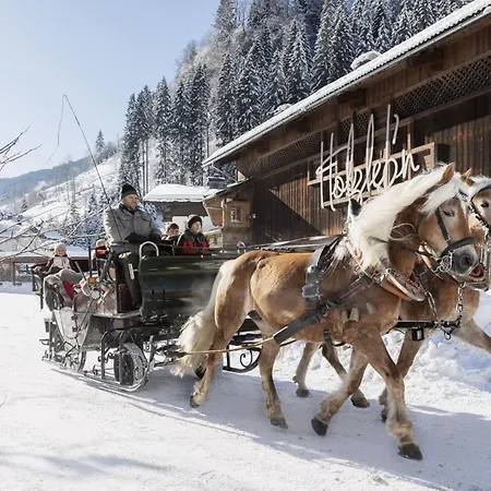 Holzlebn Holiday park 3*