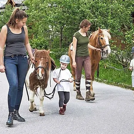 Tatil parkı Holzlebn Grossarl