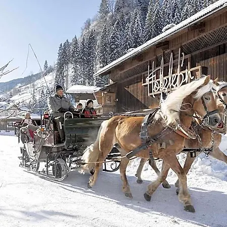 Tatil parkı Holzlebn Grossarl