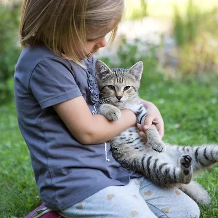 Holzlebn Holiday park